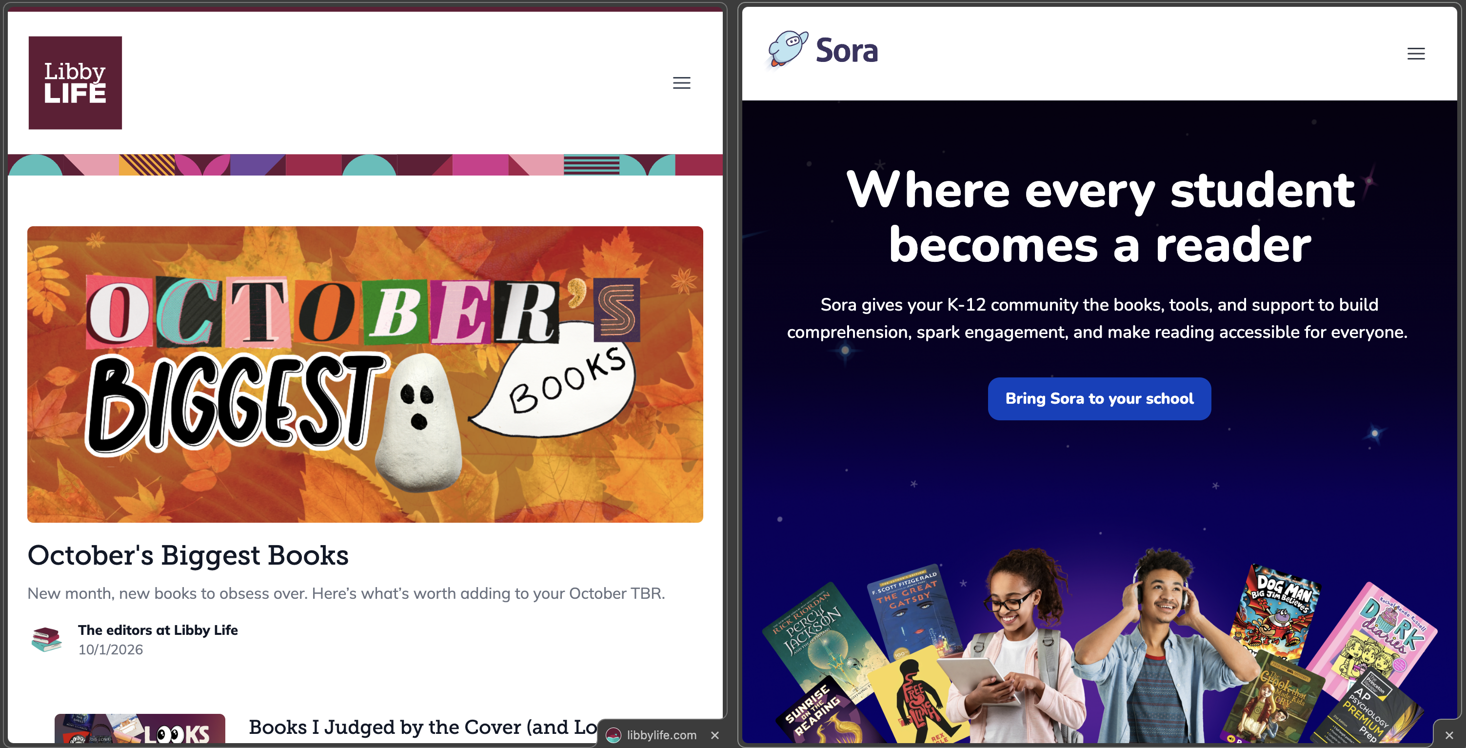 Screenshot showing LibbyLife.com and DiscoverSora.com running side by side with similar components but unique branding.